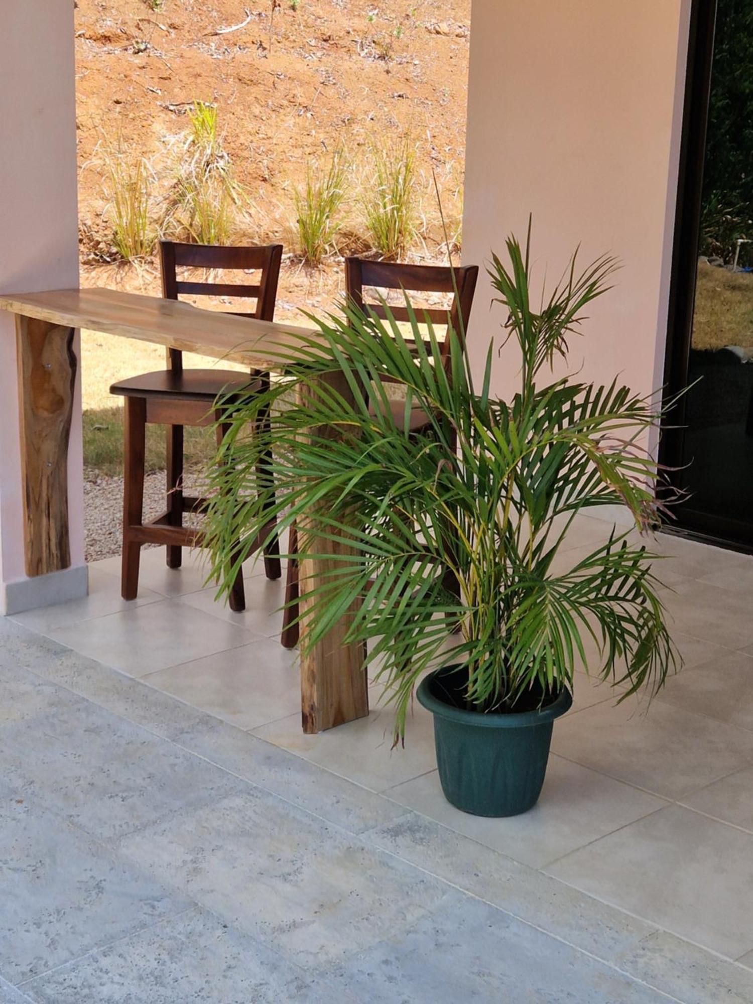 مبيت وإفطار Sámara Vista Mar Y Monos المظهر الخارجي الصورة